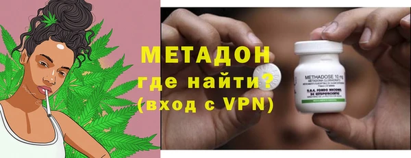 гидра Ельня