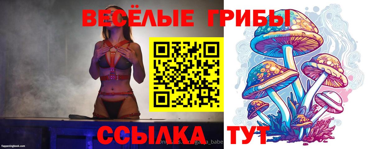 Истра  Галлюциногенные грибы MAGIC MUSHROOMS  Вход с VPN 